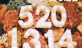 5201314表白 5201314表白