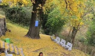 薛之谦衢州演唱会 薛之谦衢州演唱会