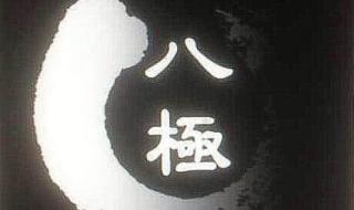 张龙八极拳 张龙八极拳