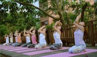 瑜伽师培训学校 瑜伽师培训学校