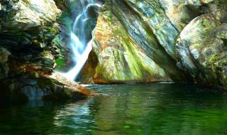 神秘花园钢琴谱