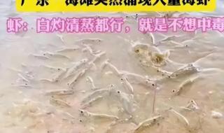 广东海水已有核污染吗 广东海水已有核污染吗